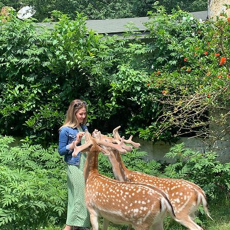 ホテル ポロネズキョイ カントリー クラブ イスタンブール エクステリア 写真