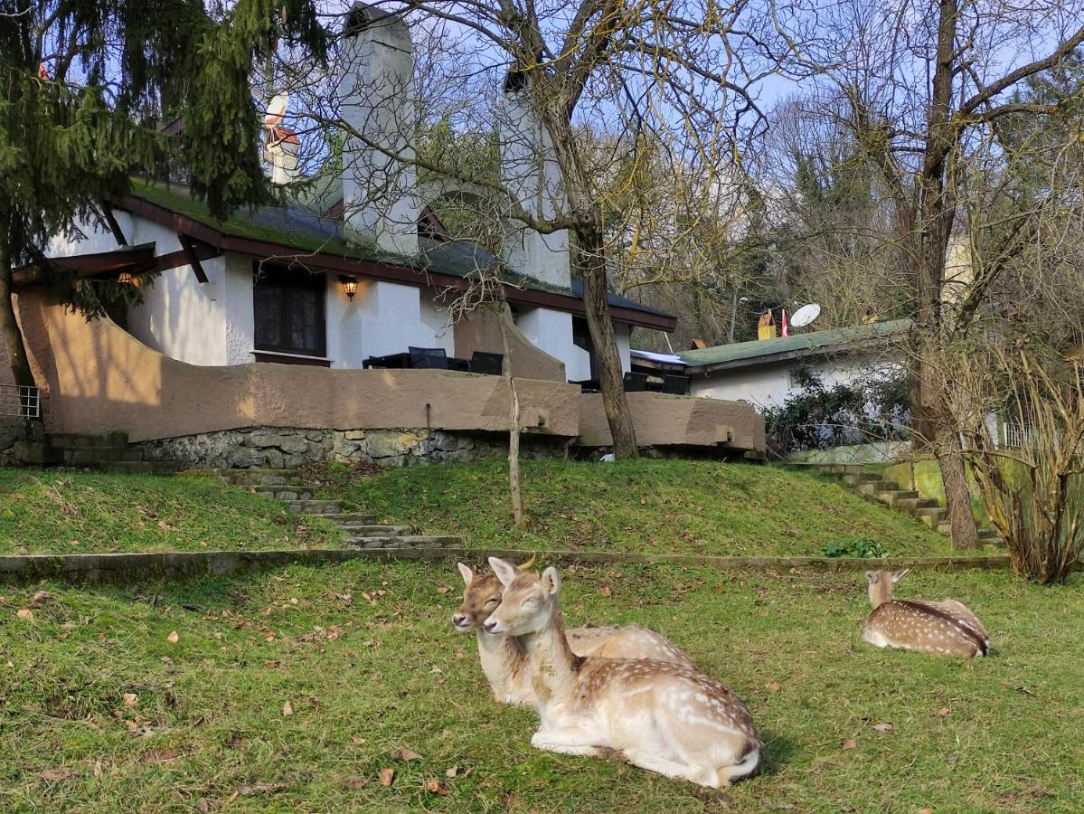 ホテル ポロネズキョイ カントリー クラブ イスタンブール エクステリア 写真