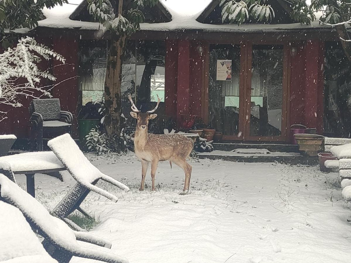 ホテル ポロネズキョイ カントリー クラブ イスタンブール エクステリア 写真