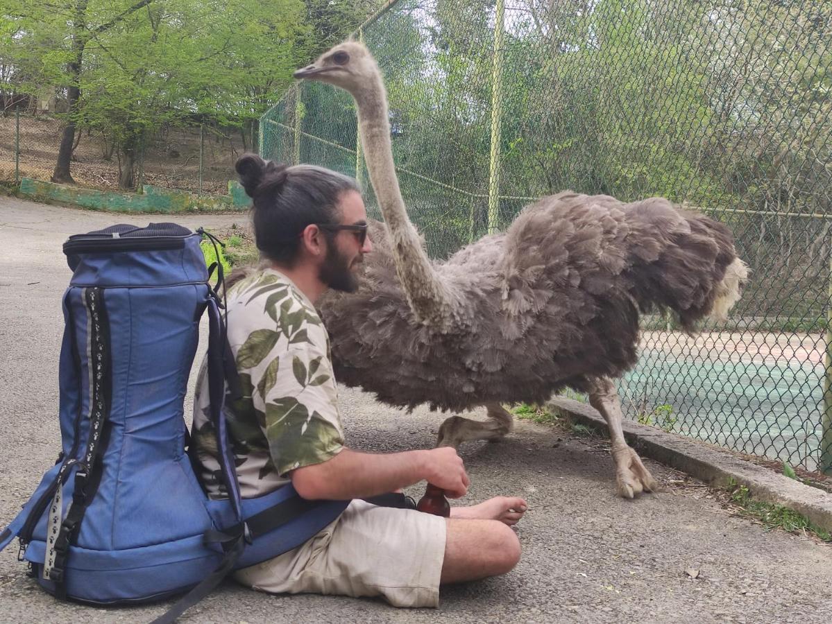 ホテル ポロネズキョイ カントリー クラブ イスタンブール エクステリア 写真