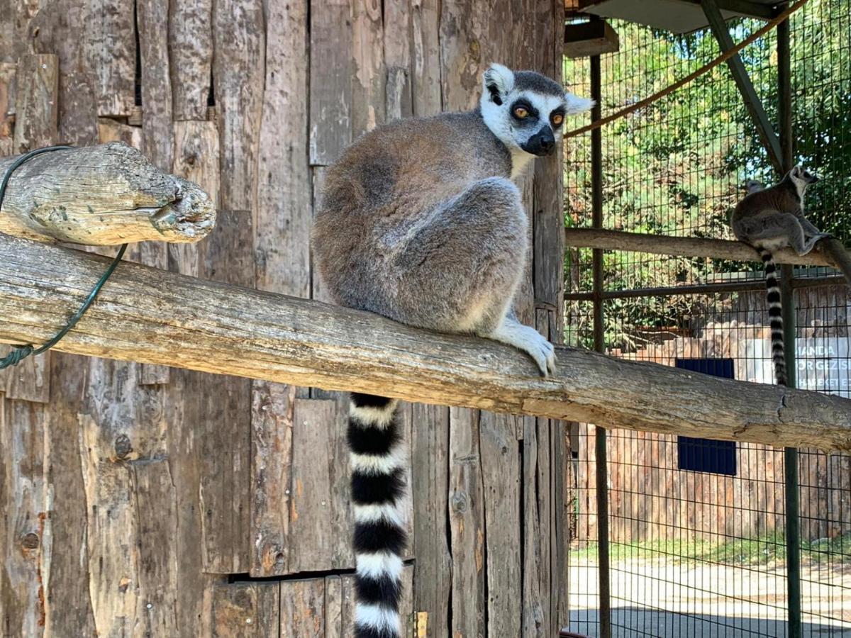 ホテル ポロネズキョイ カントリー クラブ イスタンブール エクステリア 写真