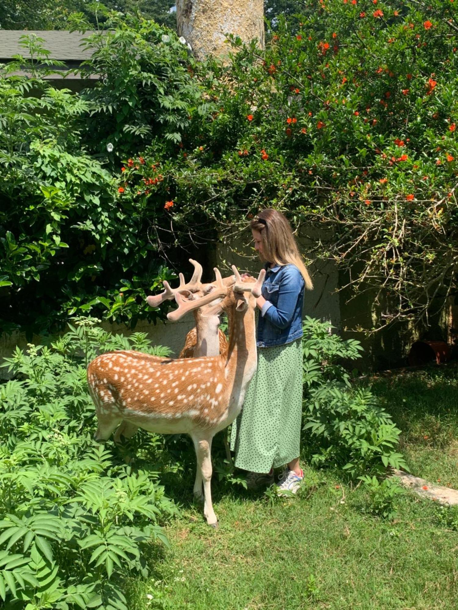 ホテル ポロネズキョイ カントリー クラブ イスタンブール エクステリア 写真